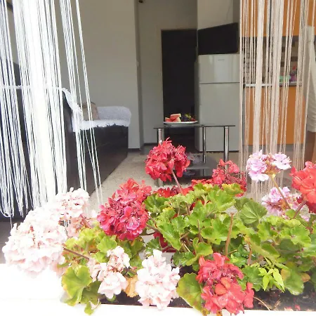 Hillside Cozy Studio Imotski-makarska Apartmán *